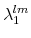  \lambda_{1}^{lm}