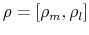  \rho=[\rho_{m},\rho_{l}]