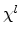  \chi^{l}