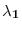  \mathbf{\lambda_{1}}