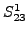 $ S_{23}^{1} $