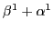 $ \beta ^{1} +\alpha ^{1} $