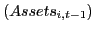 $ \left(Assets_{i,t-1} \right)$