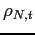 $ \rho _{N,t}$